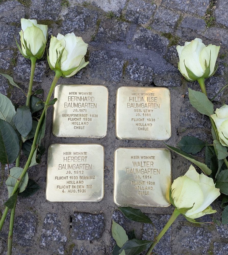 Ein Foto von vier Stolpersteinen im Straßenpflaster, neben den Stolpersteinen liegen fünf weiße Rosen