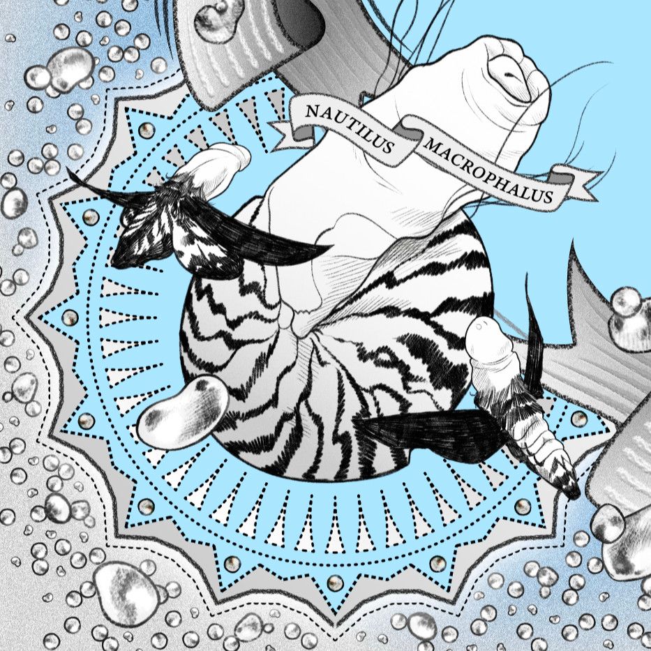 Fragment from the map The Bottomless and All-Devouring Hole of Saint Brendan of Compostela from the book Saint Brendan and the Brotherhood of Virile Serenity by Yanko Tsvetkov. Designed by Alphadesigner and illustrated by Giovanni Dionisi.