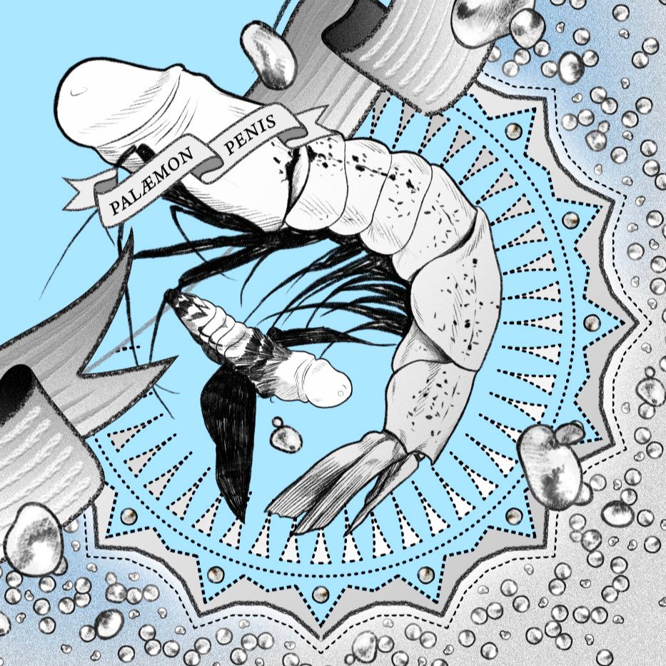 Fragment from the map The Bottomless and All-Devouring Hole of Saint Brendan of Compostela from the book Saint Brendan and the Brotherhood of Virile Serenity by Yanko Tsvetkov. Designed by Alphadesigner and illustrated by Giovanni Dionisi.