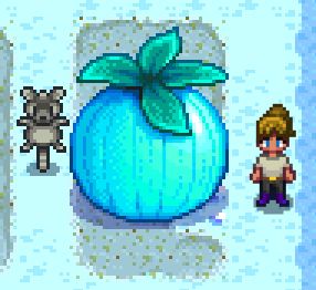 Giant Powdermelon from stardew valley :3