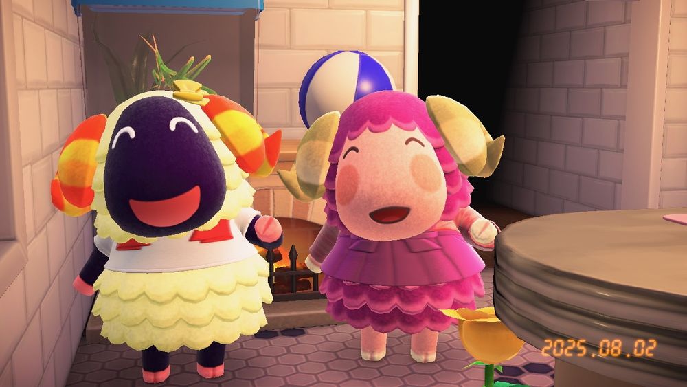 メリヤスさんとアクリルさん