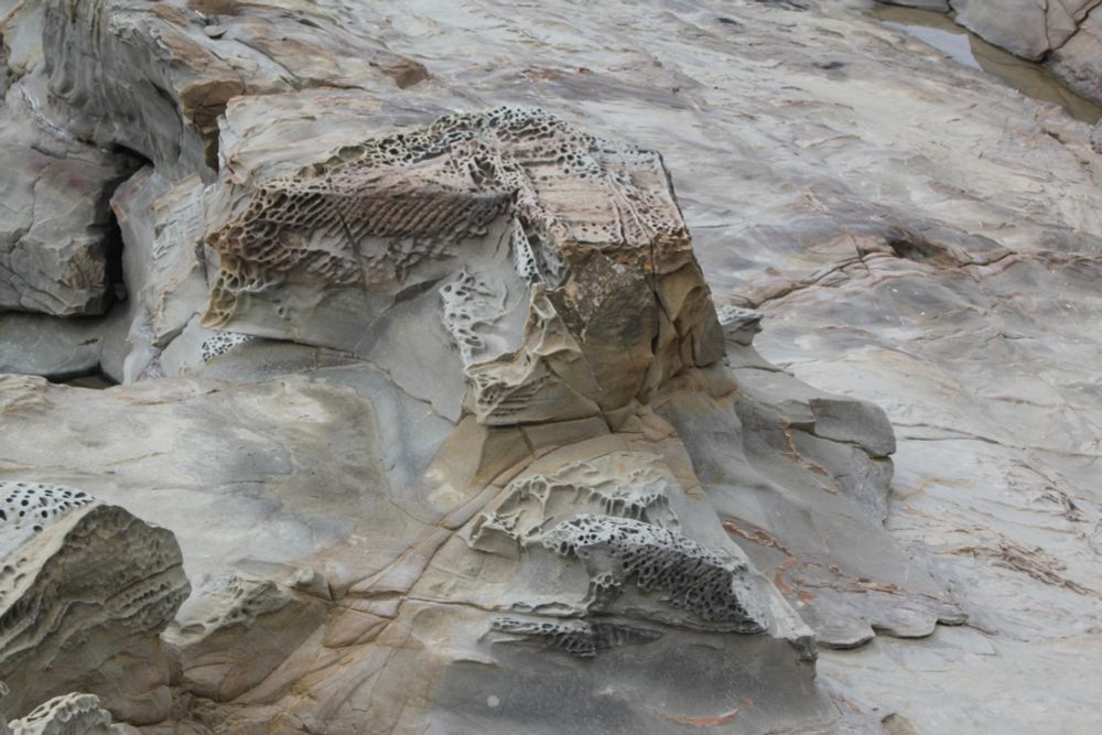 Hewn sandstone rock with chisel marks and marine erosion.