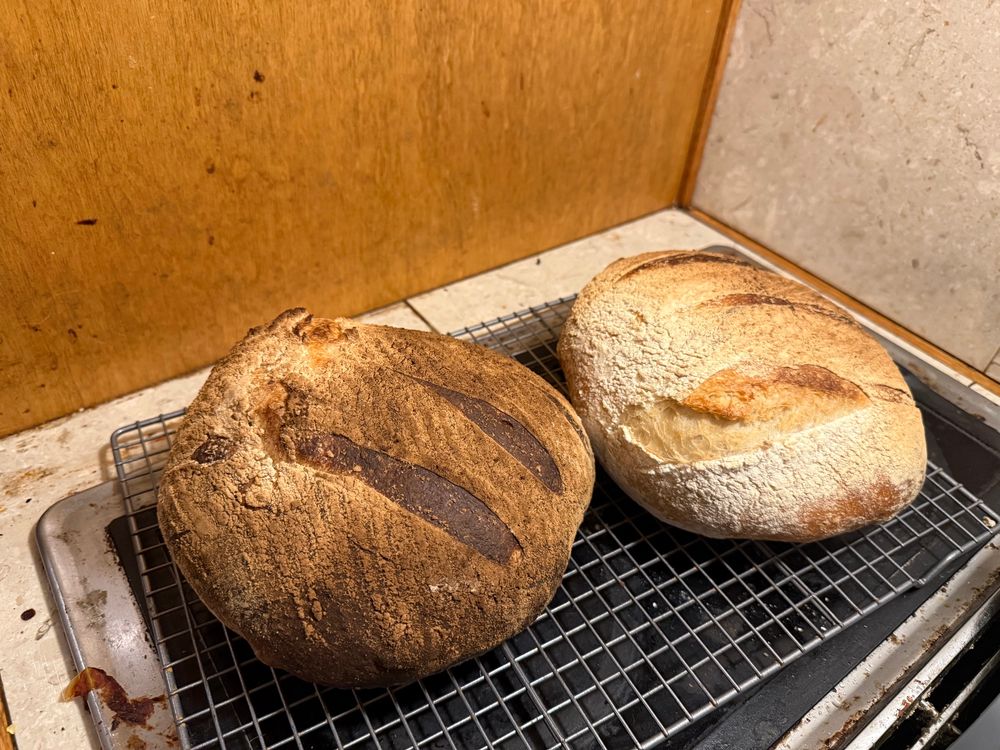 Two boules of Everyday French bread from King Arthur’s Big Book of Bread. One is a little burnt and the other is normal golden brown