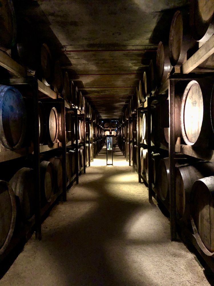 Wine barrels at the Aveleda winery, Penafiel, east of Porto. Taken July 2018.