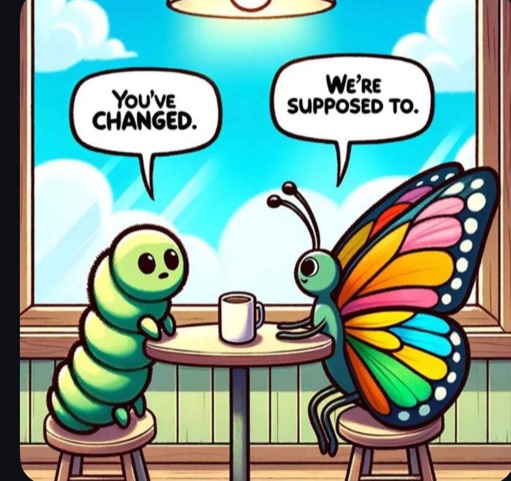 A cartoon-style image of a green caterpillar and a colourful butterfly sitting across from each other at a café table with coffee mugs. The caterpillar says, “You’ve changed.” The butterfly replies, “We’re supposed to.” The sky is bright blue with fluffy clouds outside the window behind them. Picture by unknown artist.