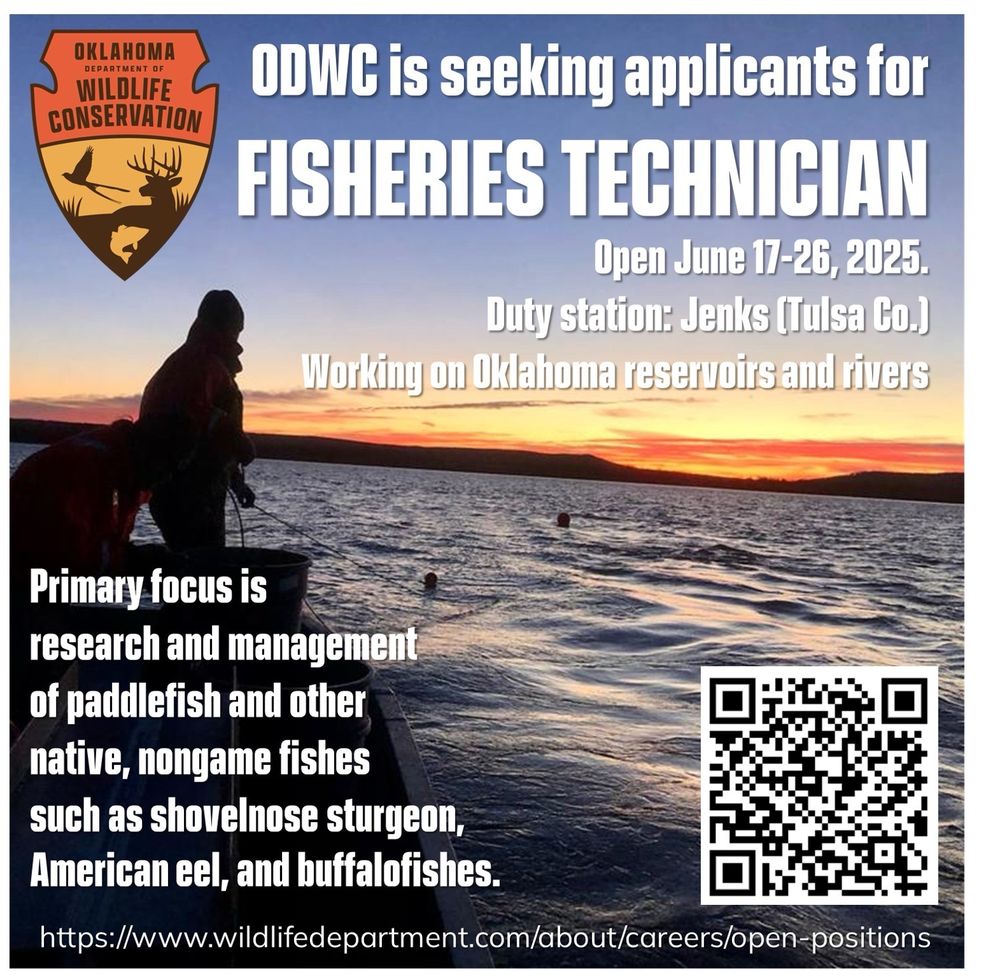 ODWC is seeking applicants for a fisheries technician in our paddlefish and native nongame program. Please go to wildlifedepartment.com where open positions are listed in the careers section. 