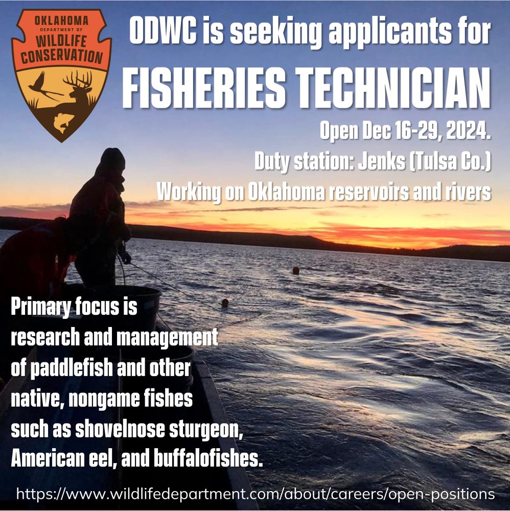 Oklahoma Department of Wildlife Conservatikn is seeking applicants for fisheries technician in our paddlefish and native nongame program. Go to https://www.wildlifedepartment.com/about/careers/open-positions