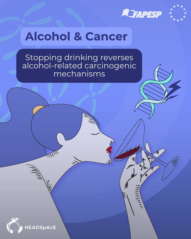 Alcohol & Cancer
Stopping drinking reverses alcohol-related carcinogenic mechanisms
