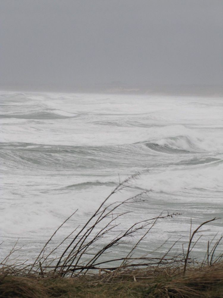 A sea bay is streaked with striations of spume, a storm bringing waves and wind and sheer power to the shore, the sky hidden in low cloud and wreathed by the salt water itself, thrown into the air. In the foreground, a small strip of land, wind-bent plants and the bleached colours of window grass.