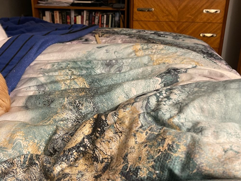 The other side of the same bed, utterly devoid of cats. A catless expanse of catfree duvet. No cats.