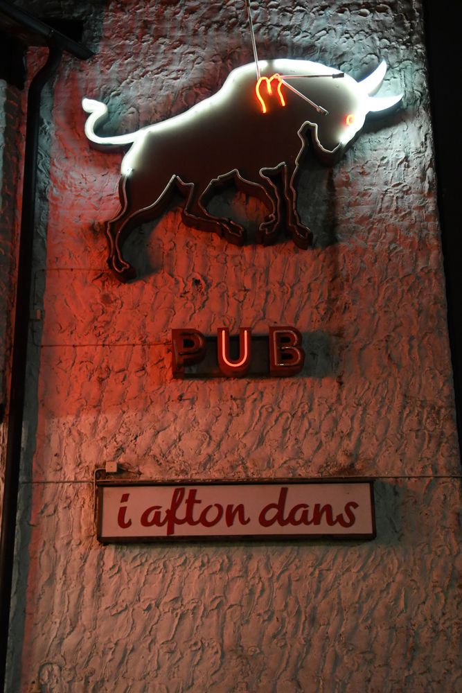 neonskyltar: tjur, PUB, i afton dans