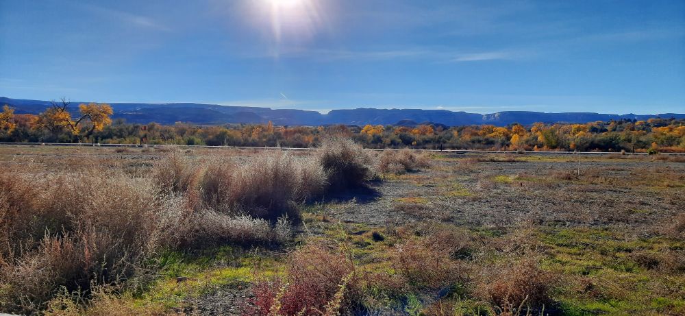The sun setting over a wide-view pic of brush & sparse ground cover stretching toward distant riparian cottonwoods & willows that line the Colorado River...farther in the distance it the skyline of the Colorado National Monument, with its red rock cliffs, spires, & canyons.
Photo by Jennah Denham.