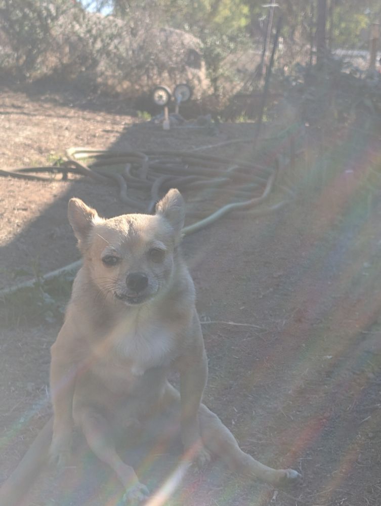 Quinn with his ditched wheels in the background 