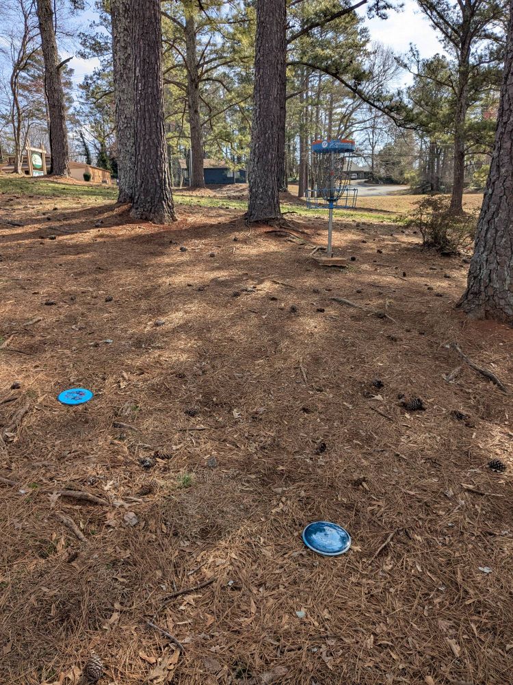 Two discs parked near the basket on a disc golf hole.