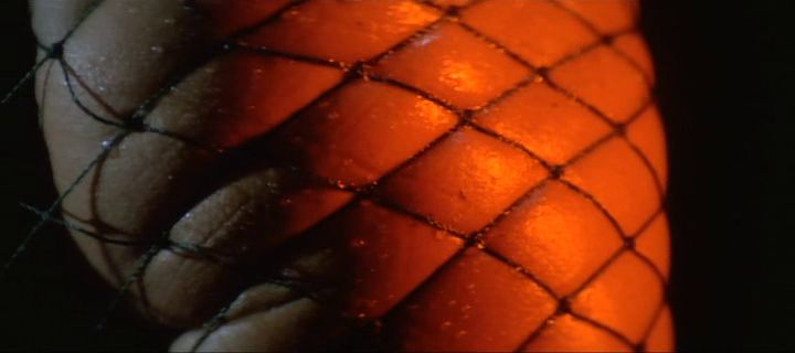 extreme closeup of a woman's right buttock wrapped tightly in fishnet. the director totally does not have a thing for bondage you guys. it definitely does not feature in any of his work at all.