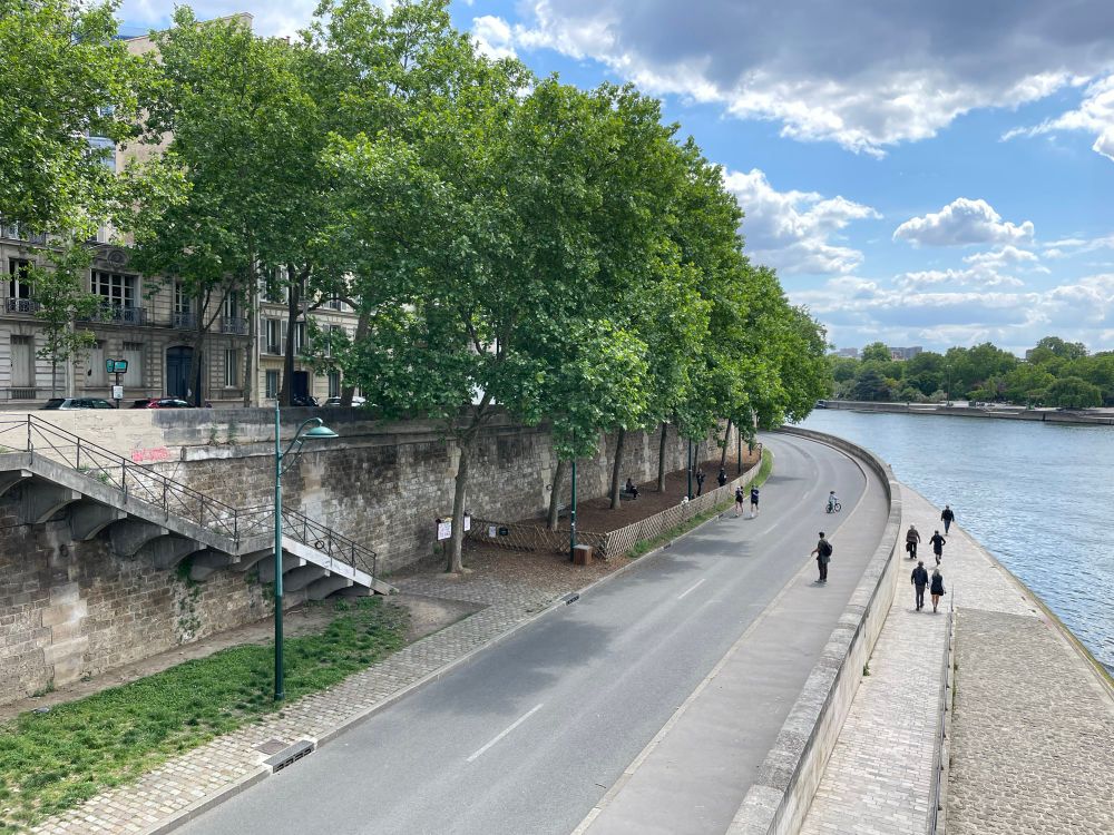 Along the Seine, a few dogs run in the aire de chien Caniparc Sully which sits under shade trees as people stroll along the side of the river 