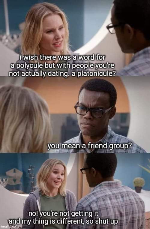 Eleanor and Chidi discuss the differences between platonicules and friends groups.