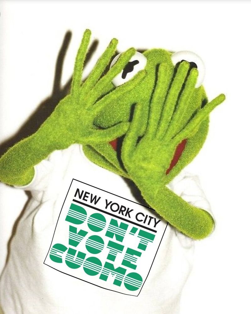 photo of Kermit The Frog wearing a Department of Transportation themed 