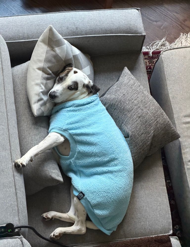 Sidney Prescott in her after bath attire.