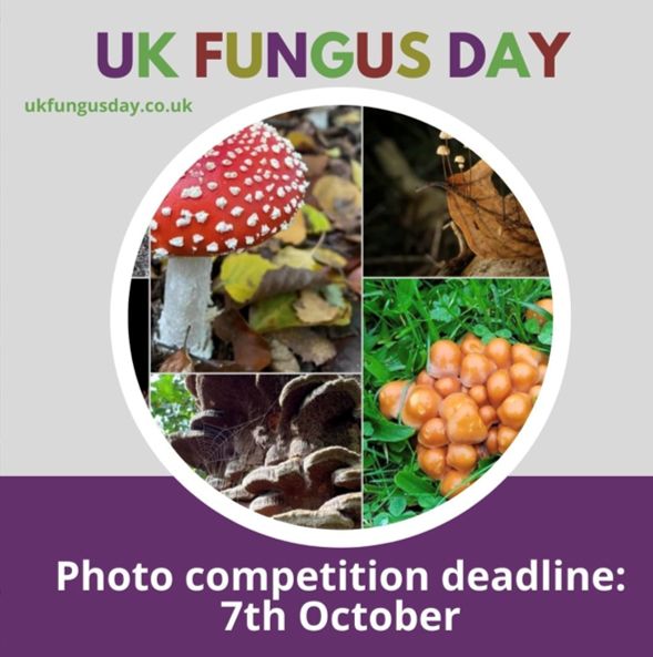 Enter the UK Fungus Day photo competition. Deadline 7th October 2025