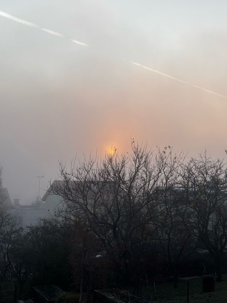 A frosty mist obscures the sky, leaving the sun a pale orange orb. 