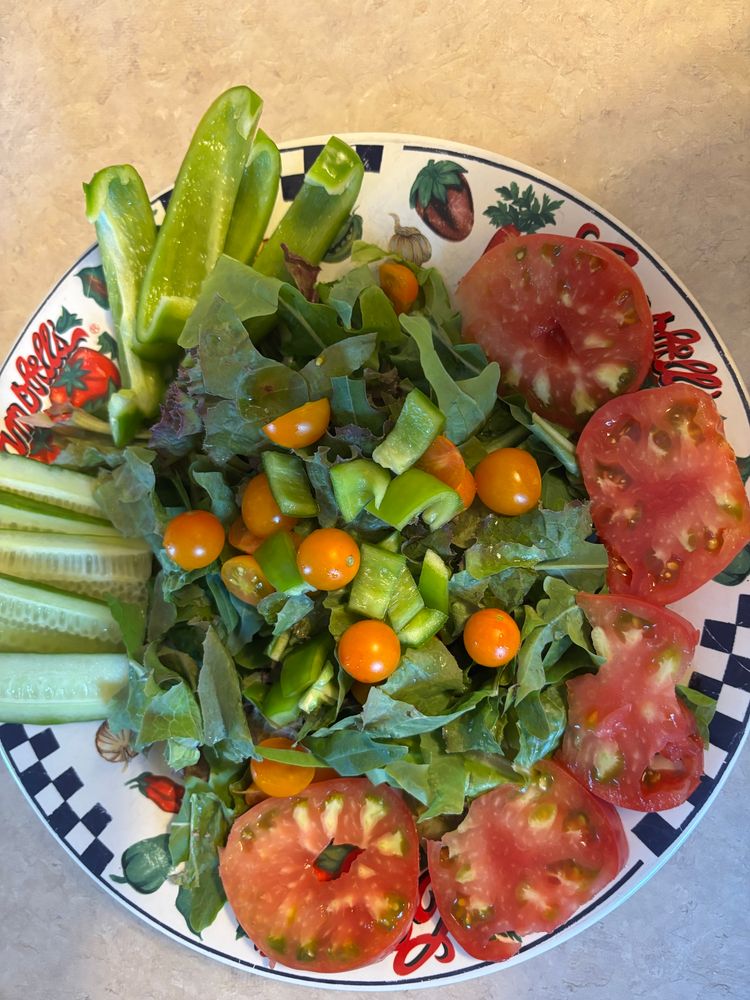 Lunch fresh from the backyard garden — lettuce, cherry tomatoes, green bell peppers and heirloom full-size tomatoes.