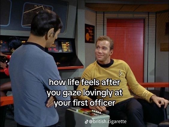 Kirk is smiling and gazing at Spock. The caption reads "how life feels after you gaze lovingly at your first officer" 