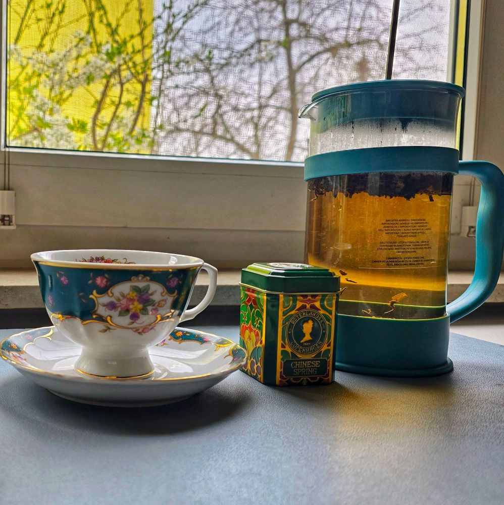 Photo of a vintage tea cup, a small and colorful can and a french press filled with tea. It the background you can see tree branches.
