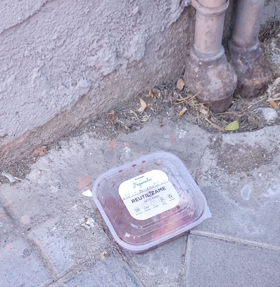 Un tupper de plástico transparente en la acera de un callejón decrépito. 
Dentro de él se ve una masa viscosa y rosada. 
En la tapa hay una pegatina, en la que dice "REUTILIZAME"