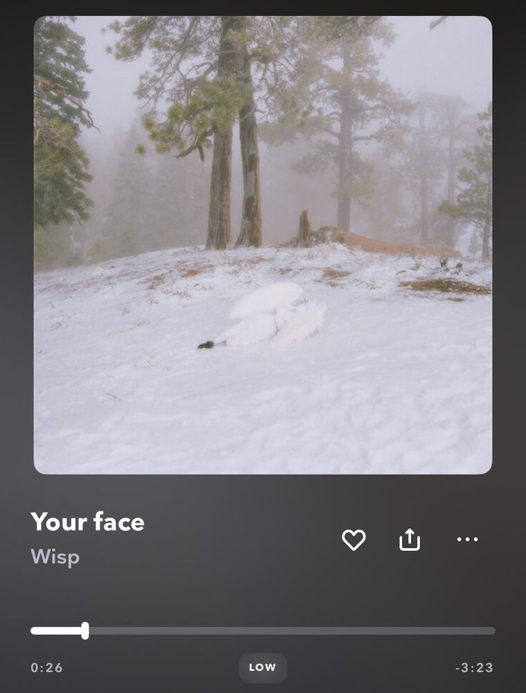 “Your Face” by Wisp