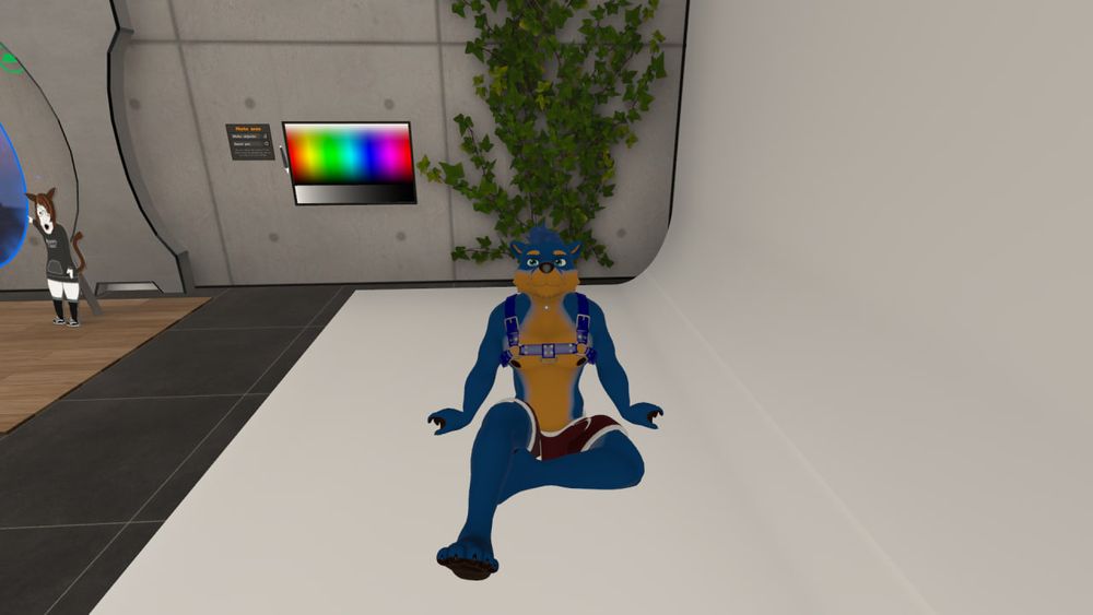 A picture of my otter in VRChat. He's a mid-to-dark blue anthro otter, sitting down, wearing a blue harness and red trunks.