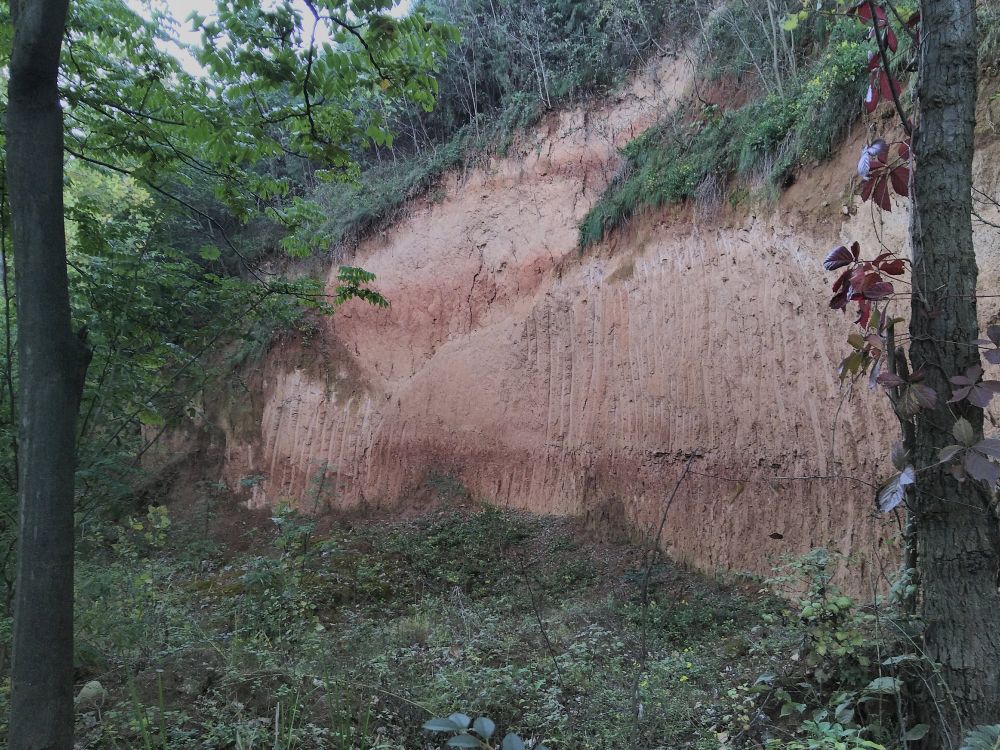 Reddish color variations on an exposed paleosoil sequence. Photo: Kira Rehfeld