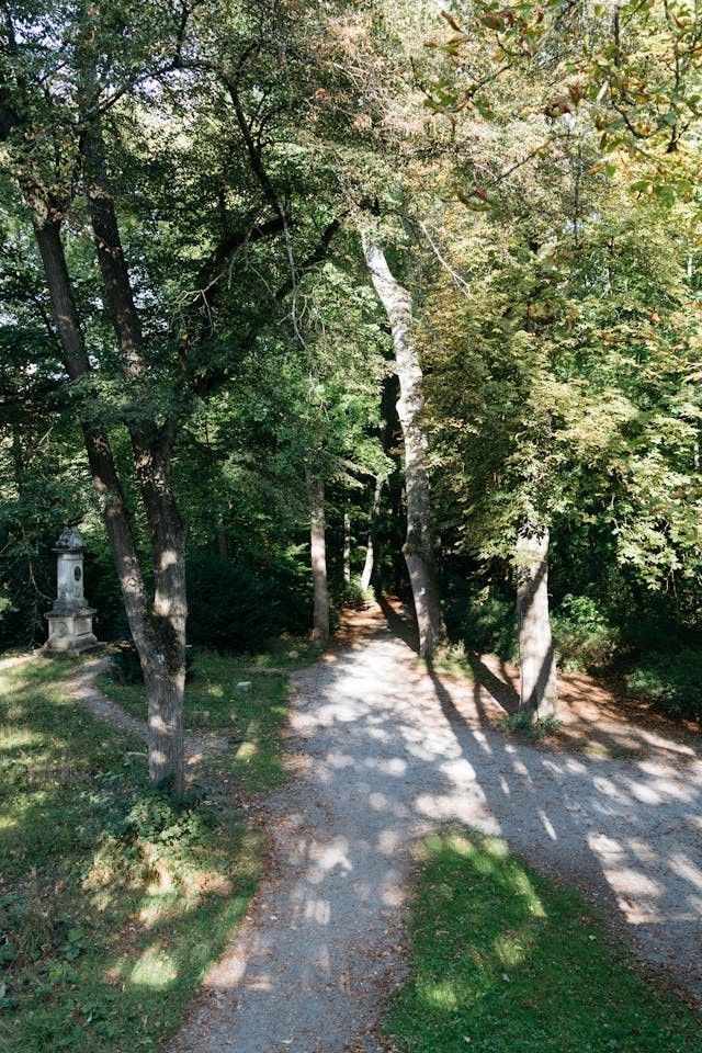 Photo of a path in the forest near Tübingen.

Photo credit: pexels.com / Markus Winkler