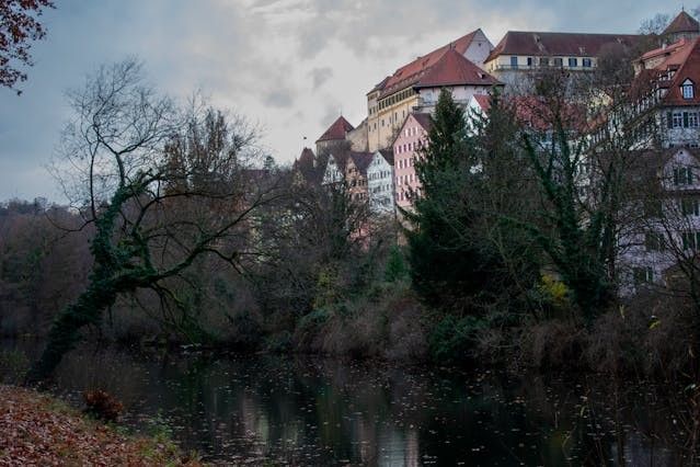 Photo of Tübingen seen from the Neckar island.

Photo credit: pexels.com / Maria-Theodora Andrikopoulou