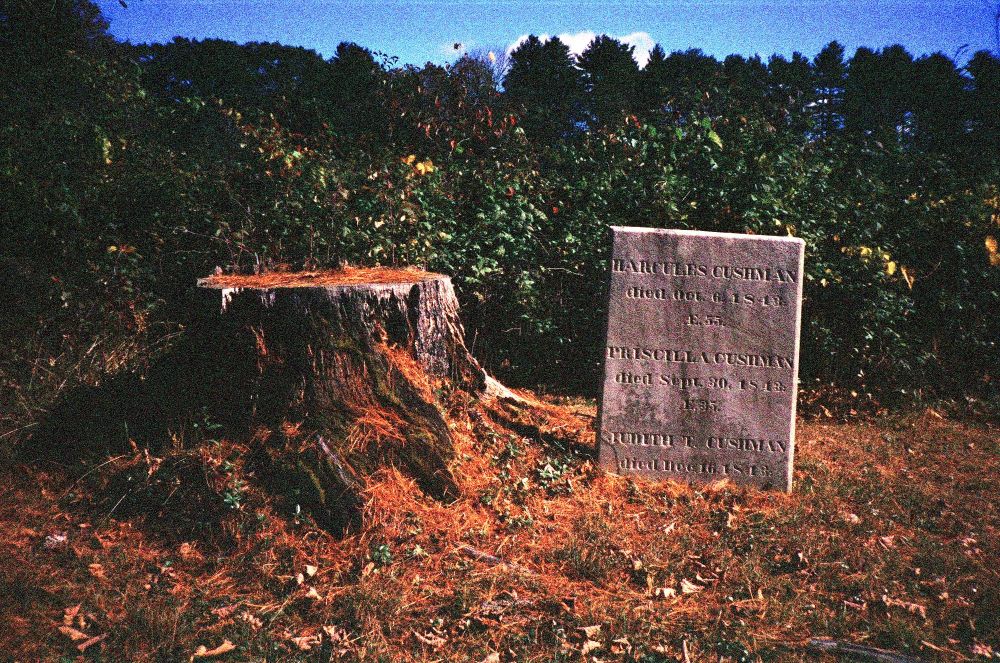 Gravestone in a different Vermont cemetery, sitting alone next to a tree stump. The inscription indicates this is where "Harcules Cushman" who died in 1813 is buried. Two others are listed on the same stone, presumably his wife and child.