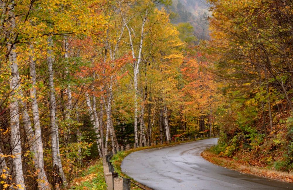 These 6 foliage drives take you by all sorts of Maine scenery