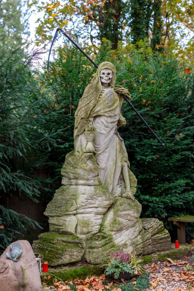 Auf dem Bild ist eine steinerne Statue zu sehen, die den Sensenmann darstellt, eine allegorische Figur des Todes.
Hier sind die Details:
 * Die Figur: Es handelt sich um eine skelettartige Figur, eingehüllt in ein langes, tuchartiges Gewand (eine Kutte oder ein Leichentuch), das von Moos bedeckt ist. Der knöcherne Schädel blickt nach vorne.
 * Die Attribute: Die Figur hält in der Hand eine lange Sense, das traditionelle Werkzeug des Sensenmanns. In der linken Hand hält sie scheinbar eine Sanduhr oder ein ähnliches Gefäß, das die verrinnende Zeit symbolisiert.
 * Die Basis: Die Statue steht auf einem Sockel aus grob gehauenen Steinen oder Felsen, die ebenfalls moosbewachsen sind.
 * Die Umgebung: Die Statue ist von dichtem Grün umgeben, vor allem von hohen Nadelbäumen oder -sträuchern (vermutlich Eiben oder Zypressen), was der Szene eine düstere und friedliche Atmosphäre verleiht. Am Boden sind Herbstlaub, kleine Pflanzen und einige Grablichter zu sehen, was stark darauf hindeutet, dass sich die Statue auf einem Friedhof befindet.
Zusammenfassend lässt sich sagen, dass es sich um eine Grab- oder Friedhofsstatue handelt, die den Tod in seiner ikonischen Form als Sensenmann darstellt.

