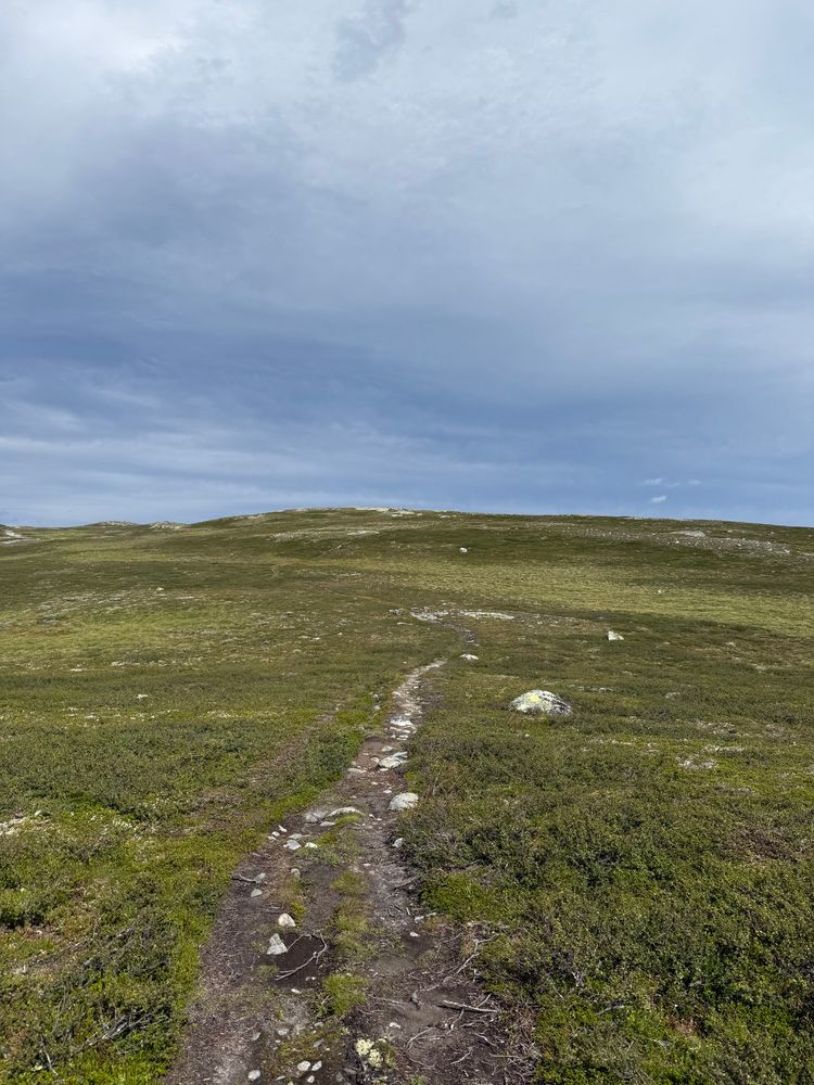 A well worn path in the mountains 