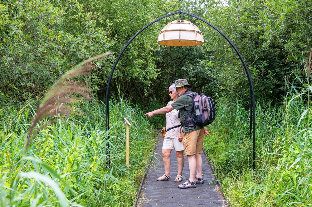 two visitors stand under a sound dome on the boardwalk pointing at a sign surrounded by tall green grasses and trees
