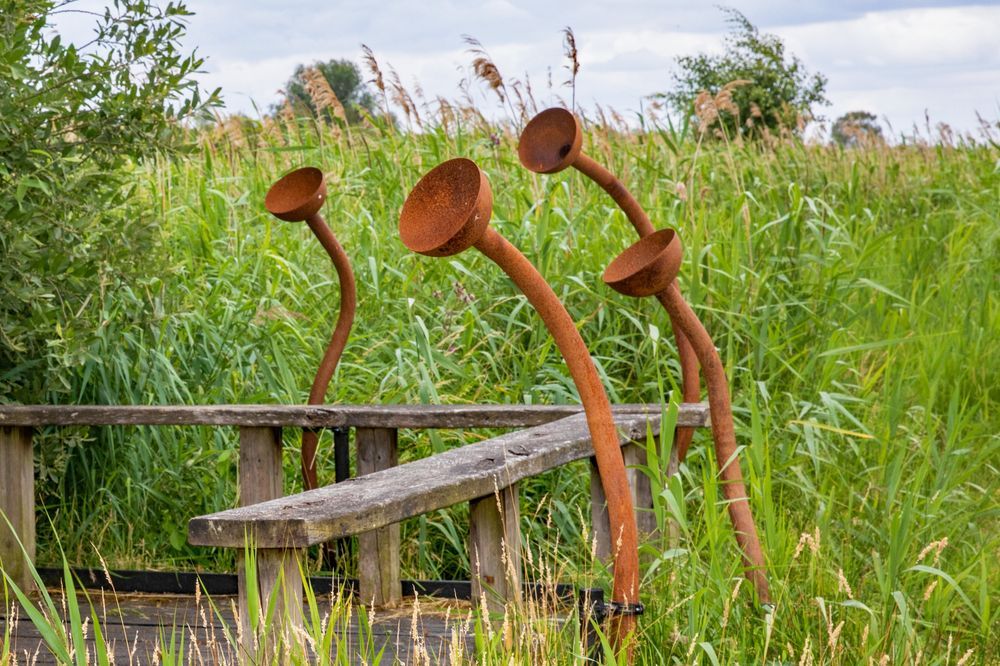 four rusty coloured horns next to a bench on the fen