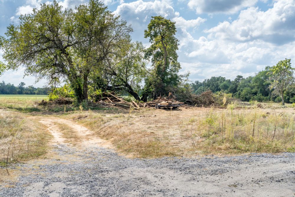 Remains of an old barn