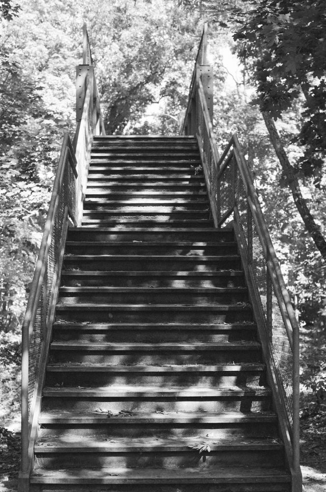 I metal and wood stairway framed with trees,in dappled sunlight heading over a railroad track. Shot on black and white film. 