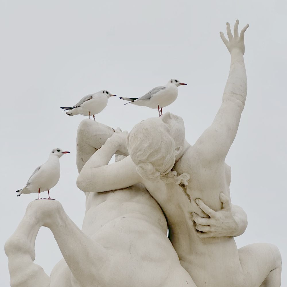 Three seagulls standing on a statue of a woman reaching for the winter sky