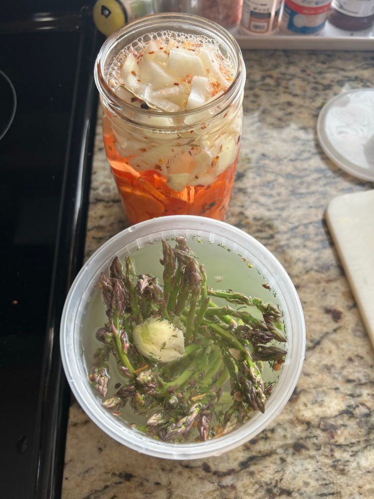 Two containers, one with carrots and white onion, the other with a swirl of asparagus and garlic filled with pickling liquid
