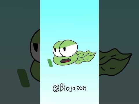Let me just say it #youtube #animation #larrythetadpole
