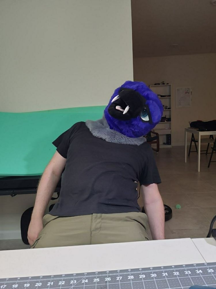 Tired birb