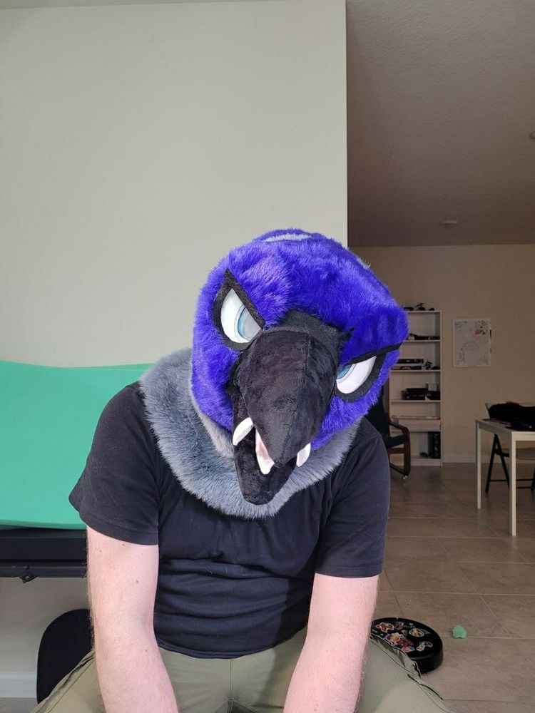 Angy birb