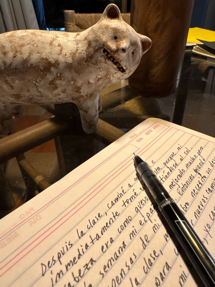 MethCat supervising Spanish homework 