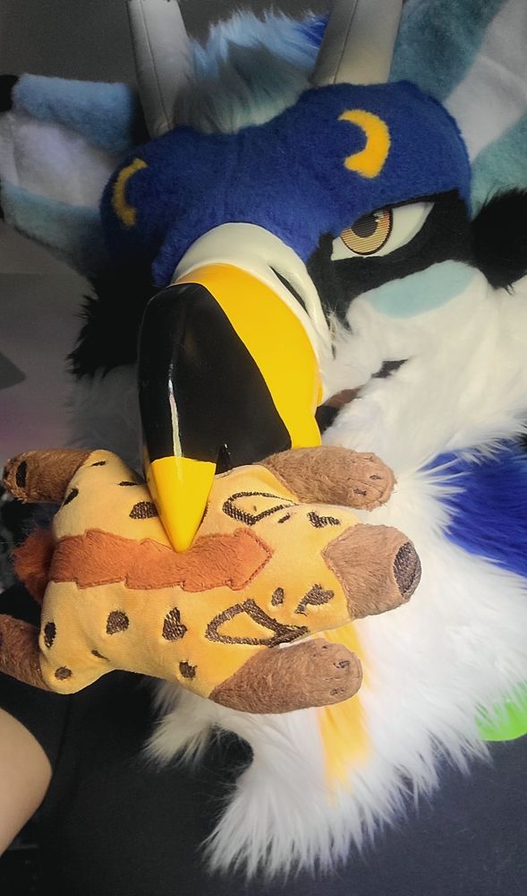I'm wearing my Val's (blue avian) fursuit head, and I'm carrying a small plush hyena in my beak.