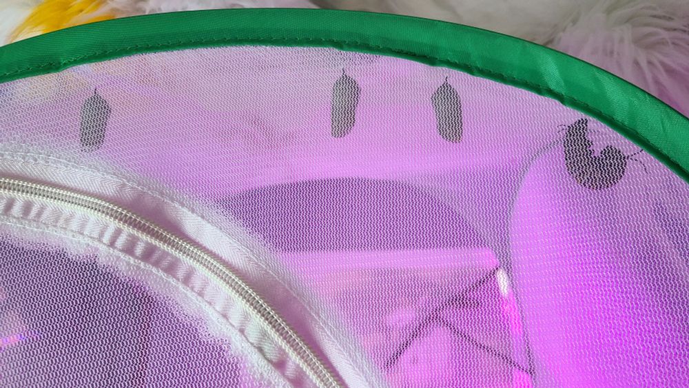 A photo of three monarch chrysalises and one monarch caterpillar readying to form into one at the top of a mesh enclosure.